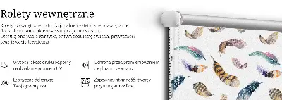 Roletai langams Plunksnos