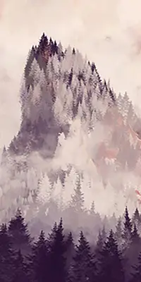 Roletai balkono durims Dažyti kalnai