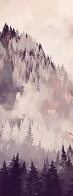 Roletai balkono durims Dažyti kalnai