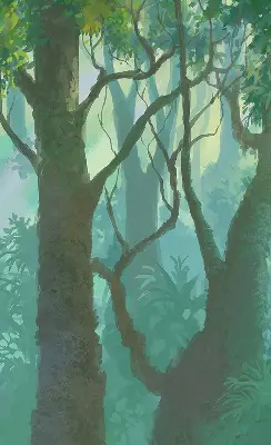 Roletai balkono durims Medžiai