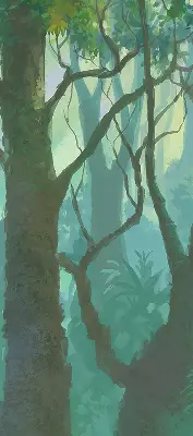 Roletai balkono durims Medžiai