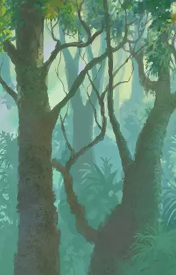 Roletai balkono durims Medžiai