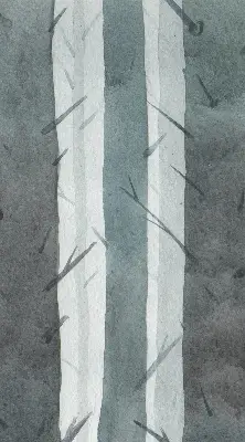 Vidiniai roletai langams Medžiai