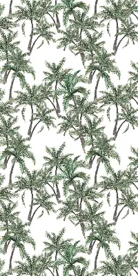 Vidiniai langų roletai Palmės