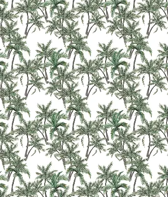 Vidiniai langų roletai Palmės