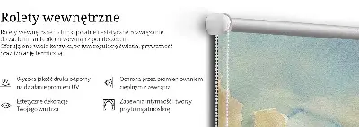 Vidiniai langų roletai Spalvingas dangus