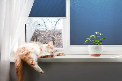 Vidiniai roletai langams Mėlyna animacija