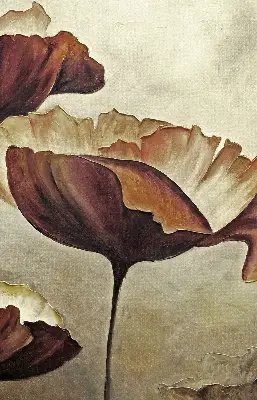 Vidiniai langų roletai Gėlės