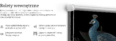 Roletai langams Patki žalia spalva