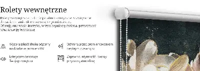 Vidiniai langų roletai Dažytos gėlės