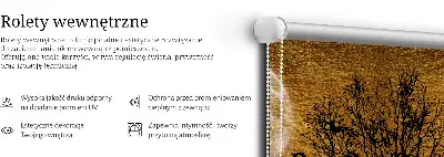 Vidiniai roletai langams Elniai naktį
