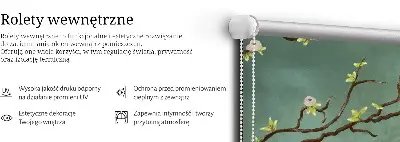 Roletai langams Paukščiai ant šakos