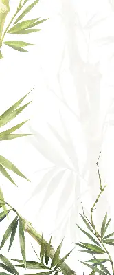 Roletai langams Bambukas
