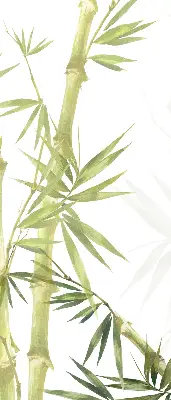 Roletai langams Bambukas