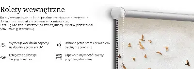 Medžiaginiai roletai Paukščių pulkas