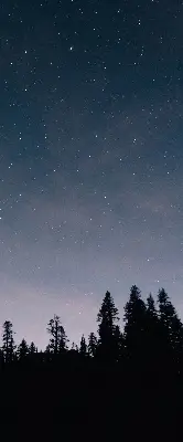 Roletai balkono durims Žvaigždėtas dangus