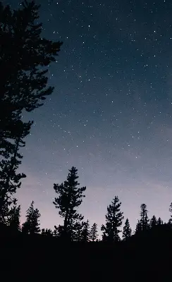 Roletai balkono durims Žvaigždėtas dangus