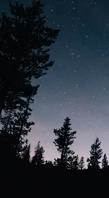 Roletai balkono durims Žvaigždėtas dangus