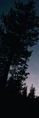 Roletai balkono durims Žvaigždėtas dangus