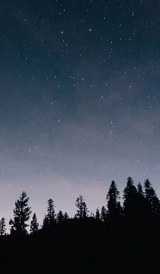 Roletai balkono durims Žvaigždėtas dangus