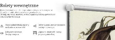Vidiniai roletai Paukščiai ant medžio