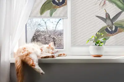 Roletai langams Paukščiai ant gėlės