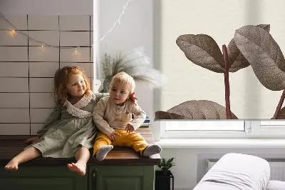 Roletai balkono durims Krintanti gėlė