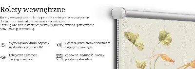 Vidiniai roletai langams Gėlė