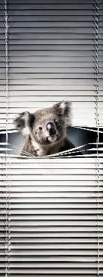 Roletai langams Koala