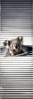 Roletai langams Koala