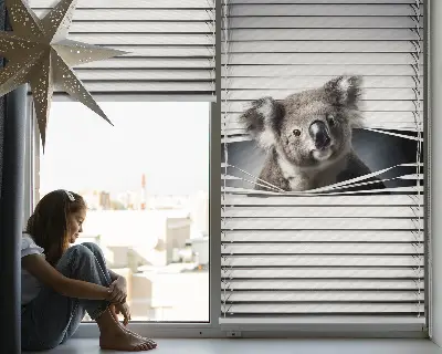 Roletai langams Koala