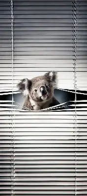 Roletai langams Koala