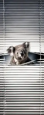 Roletai langams Koala