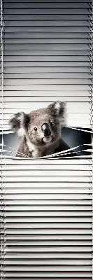 Roletai langams Koala
