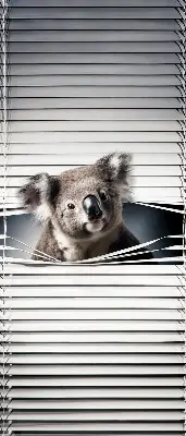 Roletai langams Koala
