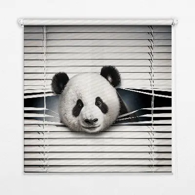 Vidiniai roletai langams Panda