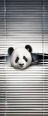 Vidiniai roletai langams Panda