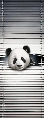 Vidiniai roletai langams Panda