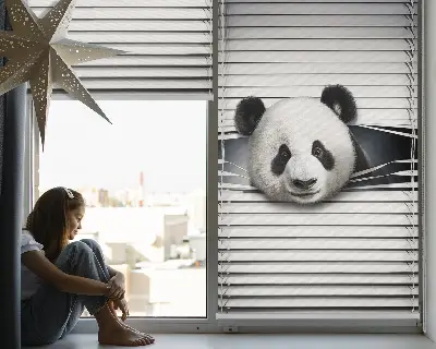 Vidiniai roletai langams Panda
