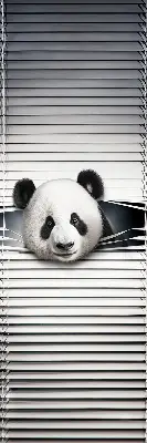 Vidiniai roletai langams Panda