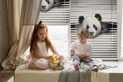 Vidiniai roletai langams Panda