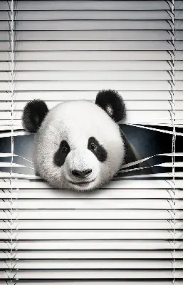 Vidiniai roletai langams Panda