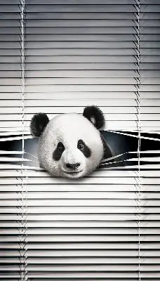 Vidiniai roletai langams Panda
