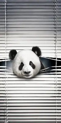 Vidiniai roletai langams Panda