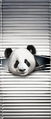 Vidiniai roletai langams Panda
