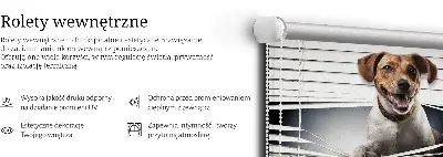 Medžiaginiai roletai Šuo