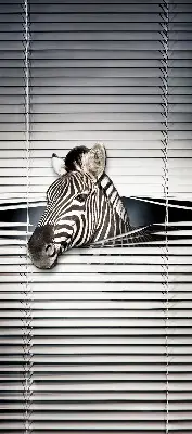 Vidiniai langų roletai Šonkauliai