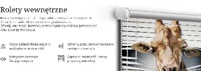 Vidiniai roletai langams Žirafa