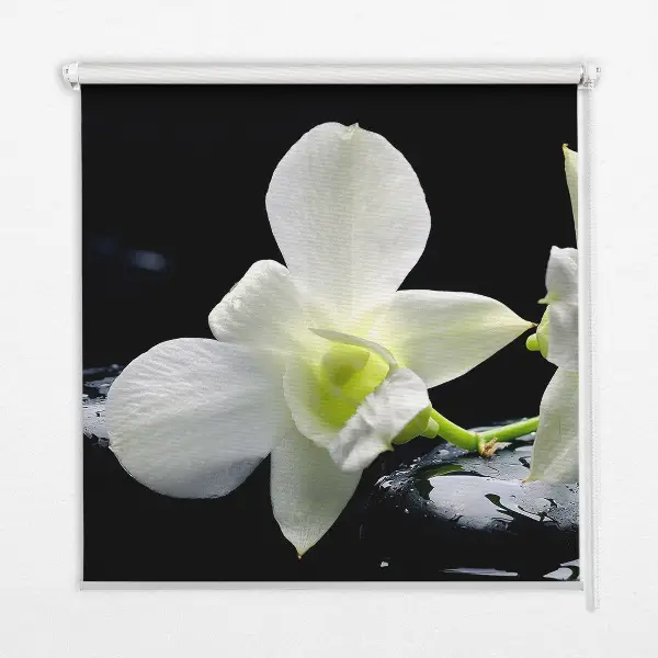 Vidiniai užtemdantys roletai Orchidėjos ir elegancija