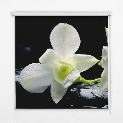 Vidiniai užtemdantys roletai Orchidėjos ir elegancija